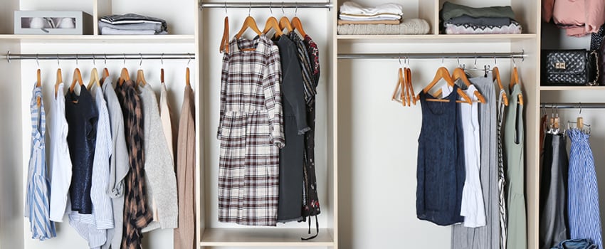 Closet organizer in Zionsville apartment